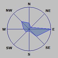 Wind Rose